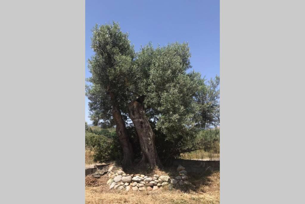 فيلا Monasteraceفي Relax E Tranquillita المظهر الخارجي الصورة